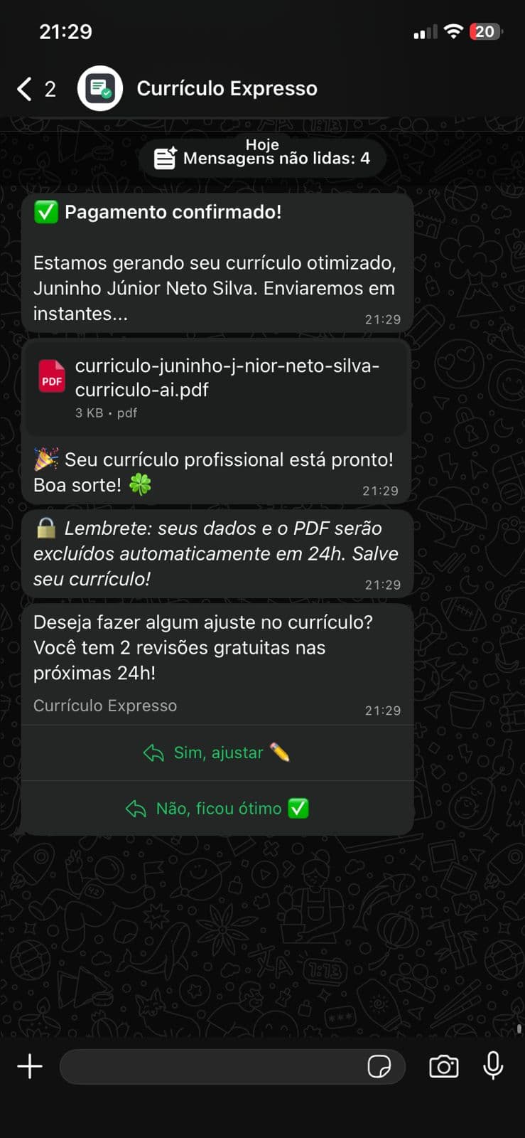 Conversa no WhatsApp - currículo entregue